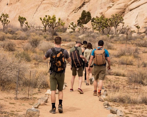 Rajasthan Cultural Tour